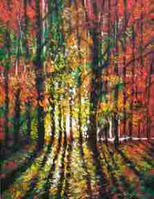 Forest Light Forest Light
