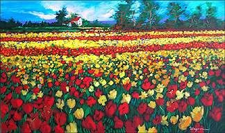 Tulip Fields Tulip Fields